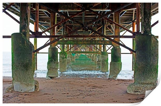 Under Teignmouth Pier Print by philip milner