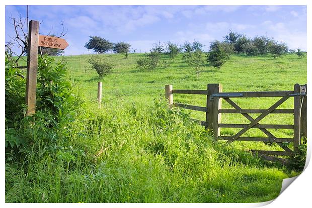 Public Bridleway, East Yorkshire Print by Richard Pinder