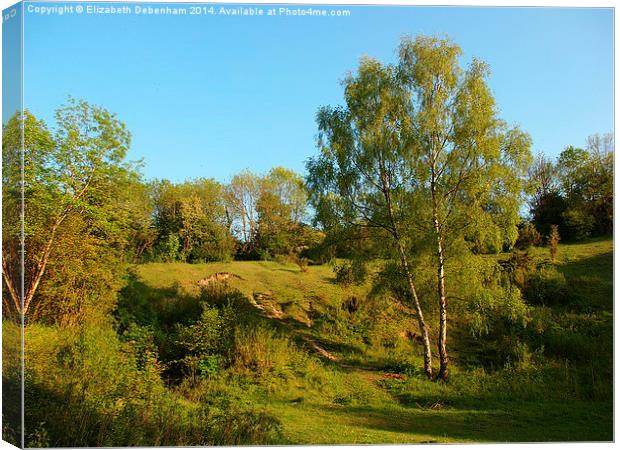 Roughdown Common, Hemel Hempstead Canvas Print by Elizabeth Debenham