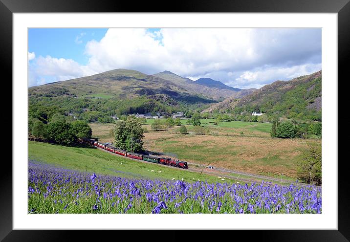 Welsh Highland Railway at Beddgelert in springtime Framed Mounted Print by Chris Parry