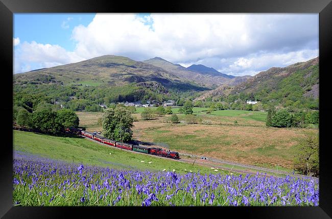 Welsh Highland Railway at Beddgelert in springtime Framed Print by Chris Parry