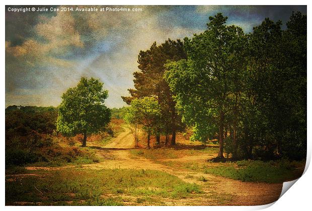 Holt Country Park 10 Print by Julie Coe