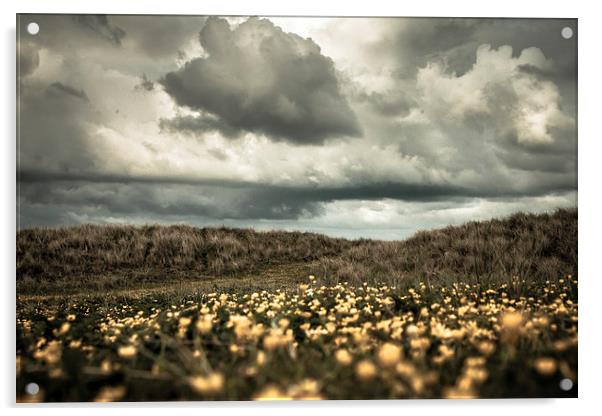 Field of Gold Acrylic by Sean Wareing