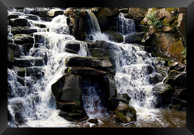 Virginia Waters Framed Print by Peter Farrington