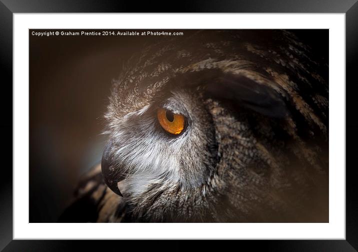 Eagle Owl Framed Mounted Print by Graham Prentice