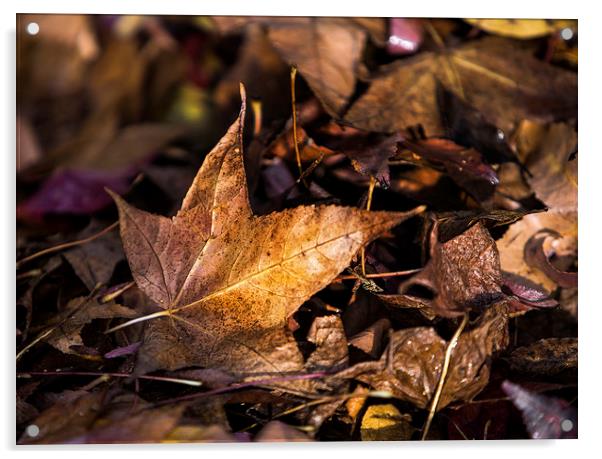 Death of Autumn Acrylic by Mark Lucey