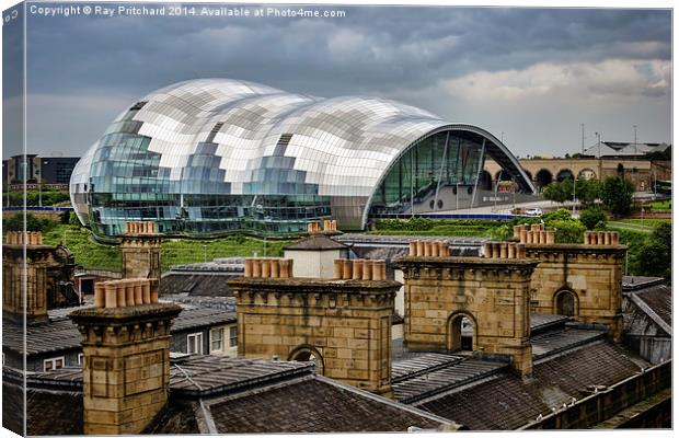 The Sage over Rooftops Canvas Print by Ray Pritchard
