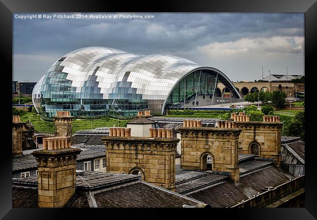 The Sage over Rooftops Framed Print by Ray Pritchard