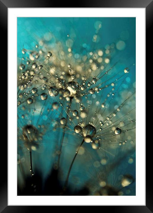 Bold Blue Dandy Sparkles Framed Mounted Print by Sharon Johnstone