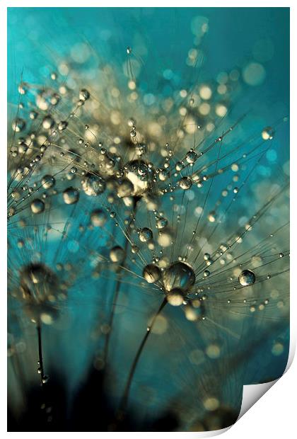 Bold Blue Dandy Sparkles Print by Sharon Johnstone