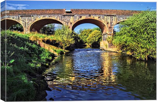Bridge over River Dearne Canvas Print by Darren Galpin