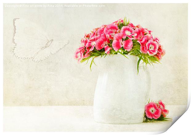 Sweet William Print by Fine art by Rina