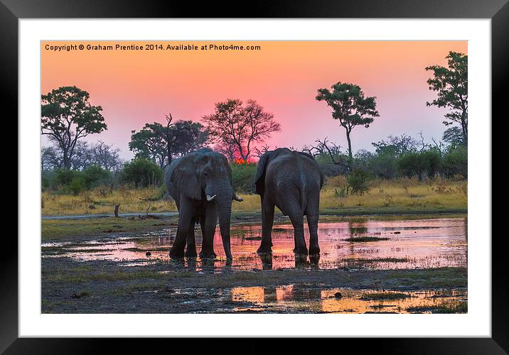 Rendezvous At Sunset Framed Mounted Print by Graham Prentice