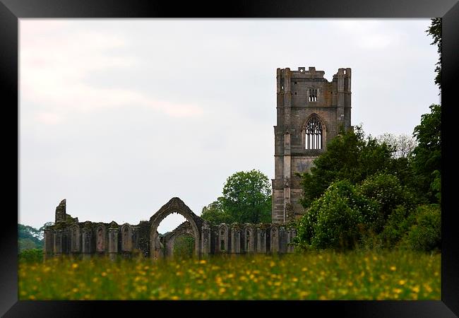 Fountains Abbey Framed Print by Kelvin Brownsword