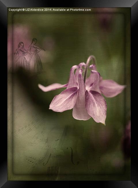 Floral Symphony Framed Print by LIZ Alderdice