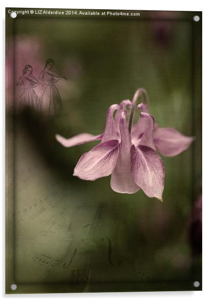 Floral Symphony Acrylic by LIZ Alderdice