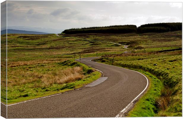 The Long and Winding Road Canvas Print by Andy Heap