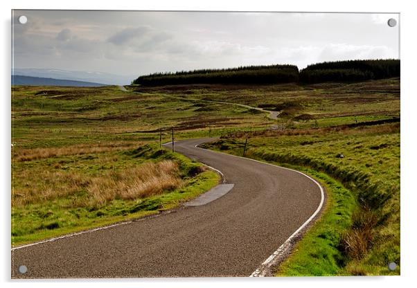 The Long and Winding Road Acrylic by Andy Heap