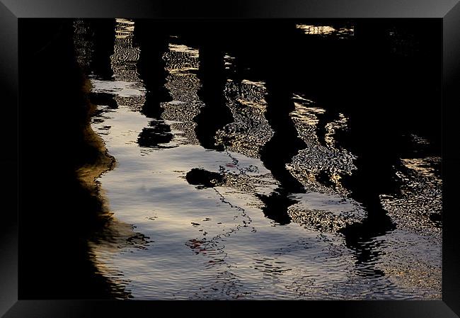 pontoon reflections Framed Print by elisa reece