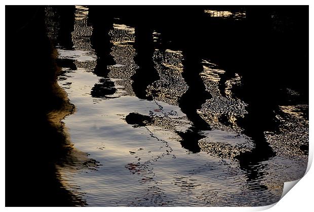 pontoon reflections Print by elisa reece