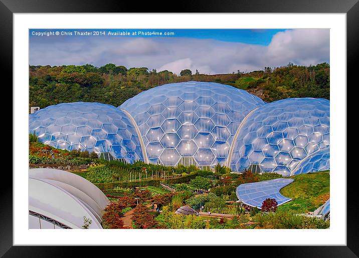 Eden Project Biomes Framed Mounted Print by Chris Thaxter