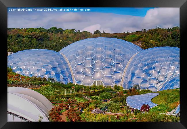 Eden Project Biomes Framed Print by Chris Thaxter