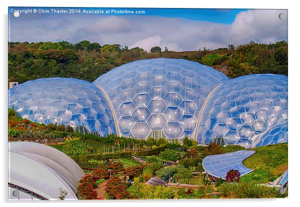 Eden Project Biomes Acrylic by Chris Thaxter