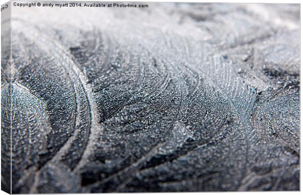 Frosty Ice Patterns Canvas Print by andy myatt