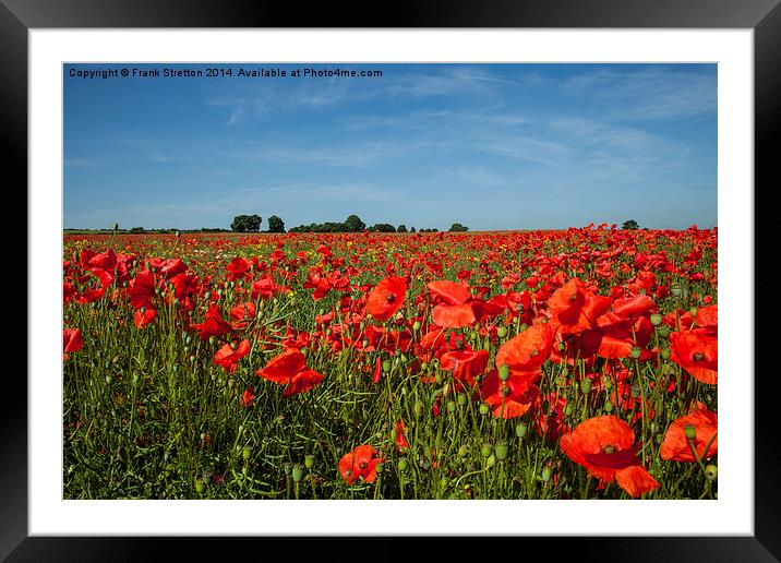 The Poppy Field Framed Mounted Print by Frank Stretton