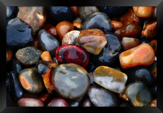 Pebbles on the beach Framed Print by Colin Brittain