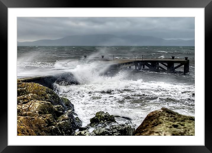 Gusty Framed Mounted Print by Valerie Paterson