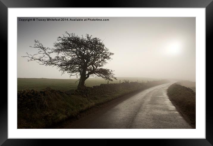 Lone Tree Framed Mounted Print by Tracey Whitefoot