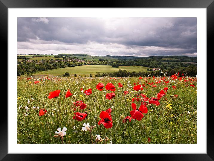 Field with a view Framed Mounted Print by Dawn Cox