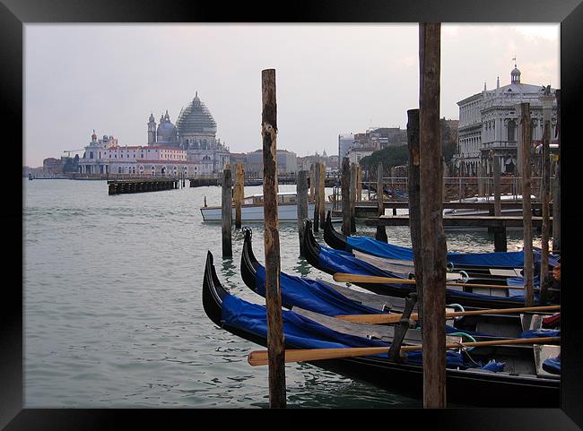 Gondolas in Venice Framed Print by Linda More