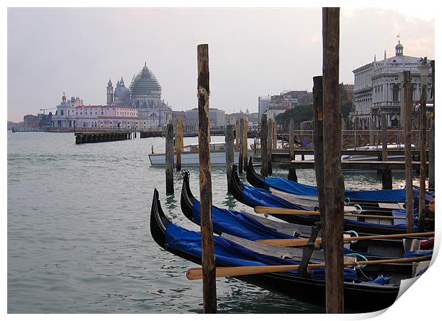 Gondolas in Venice Print by Linda More