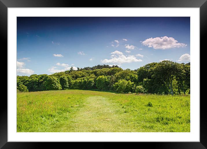 View on a Sunny Day Framed Mounted Print by matthew  mallett