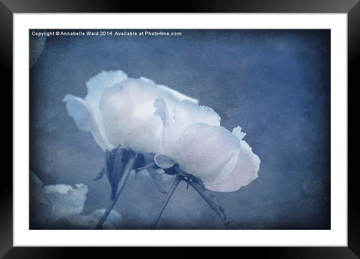 Delicate Flowers in Blue Framed Mounted Print by Annabelle Ward