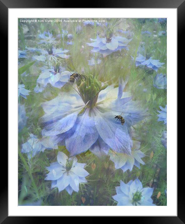 Love in the Mist Framed Mounted Print by Kim Slater