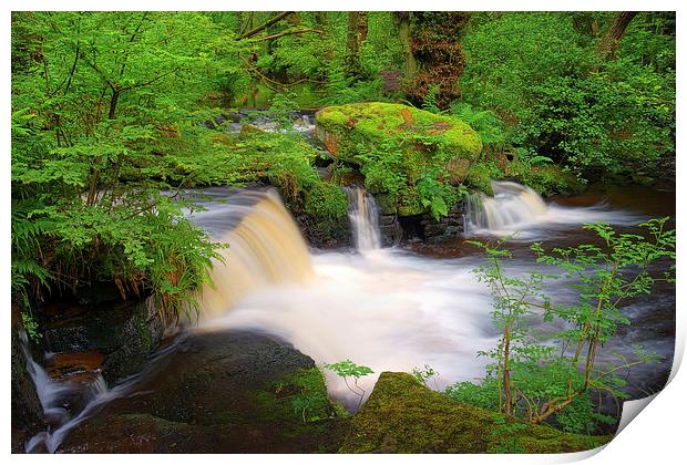 Third Coppice Weir, Rivelin Print by Darren Galpin