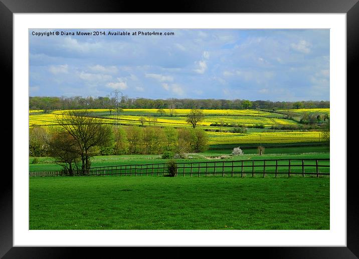 Rural Essex Framed Mounted Print by Diana Mower