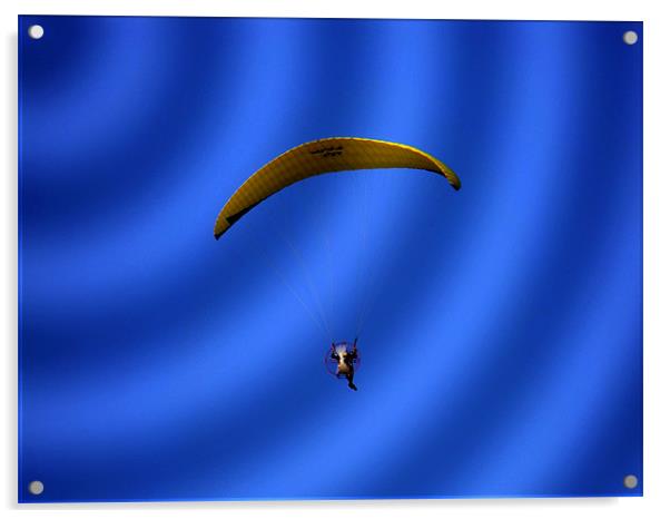 Flying Acrylic by Erzsebet Bak