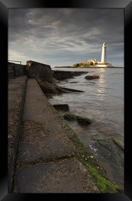 Steps of St marys lighthouse Framed Print by Richard Armstrong