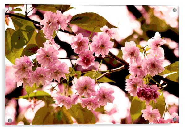 Cherry Blossoms VIII Acrylic by Nadeesha Jayamanne