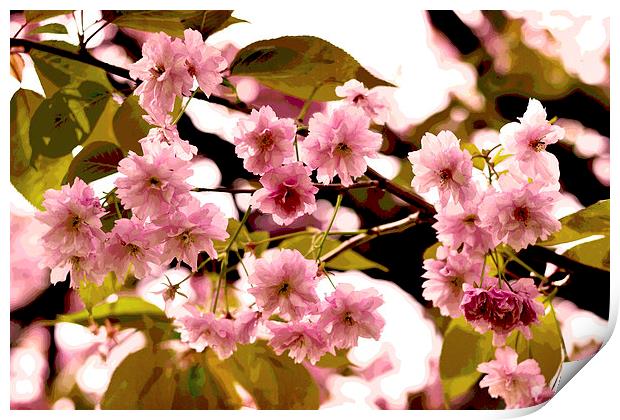 Cherry Blossoms VIII Print by Nadeesha Jayamanne