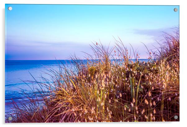 Brittany beach at dawn Acrylic by Susan Sanger