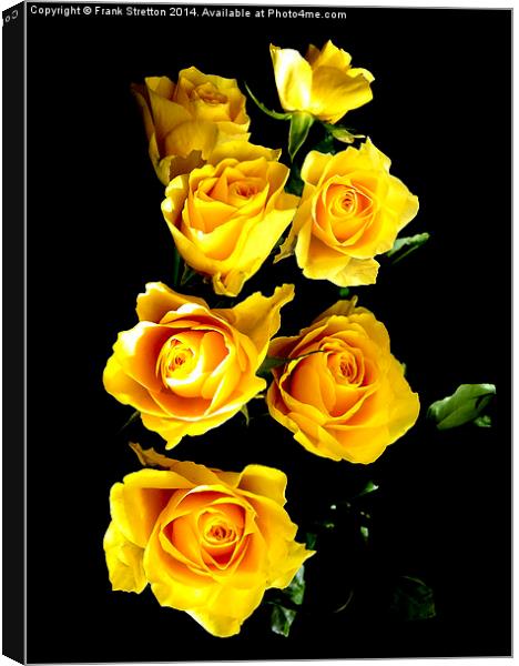 Yellow Roses Canvas Print by Frank Stretton