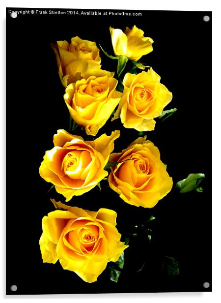 Yellow Roses Acrylic by Frank Stretton