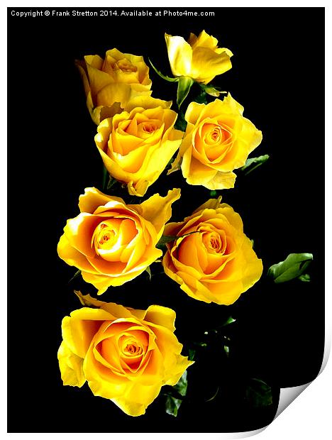 Yellow Roses Print by Frank Stretton