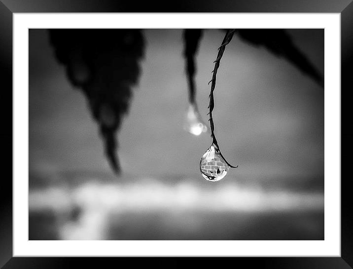 Wall Captured in a Raindrop Framed Mounted Print by Helen Holmes