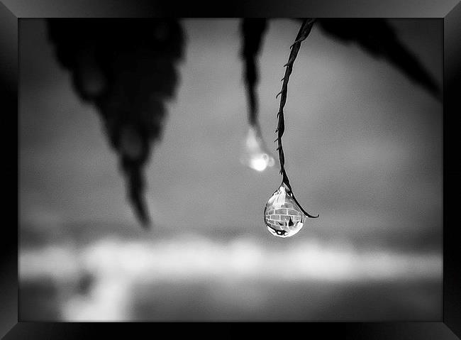 Wall Captured in a Raindrop Framed Print by Helen Holmes